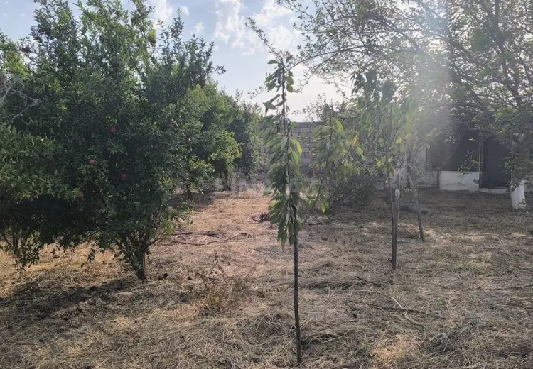 2 sot Torpaq Satılır, Novxanı, Abşeron