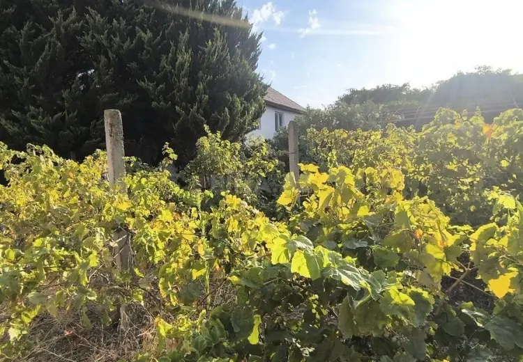 3 sot Torpaq Satılır, Novxanı, Abşeron