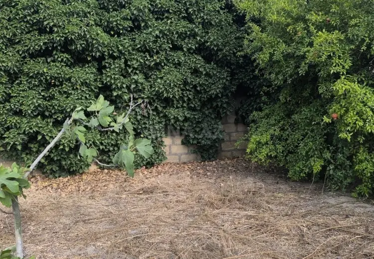 3 sot Torpaq Satılır, Novxanı, Abşeron
