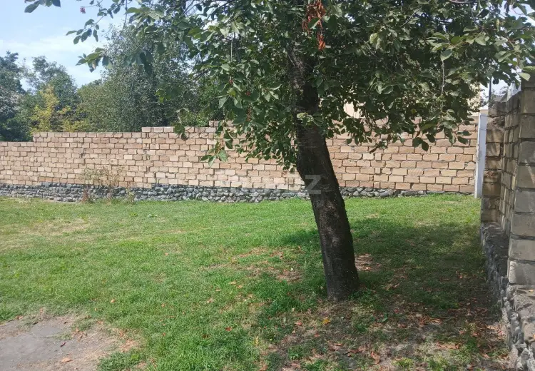 0 m² Obyekt / Ofis , Zaqatala