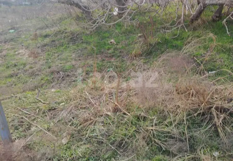 0 m² Obyekt / Ofis , Məştağa qəs., Sabunçu, Bakı