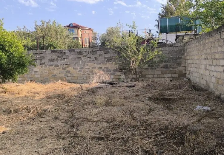 4 sot Torpaq Satılır, Novxanı, Abşeron