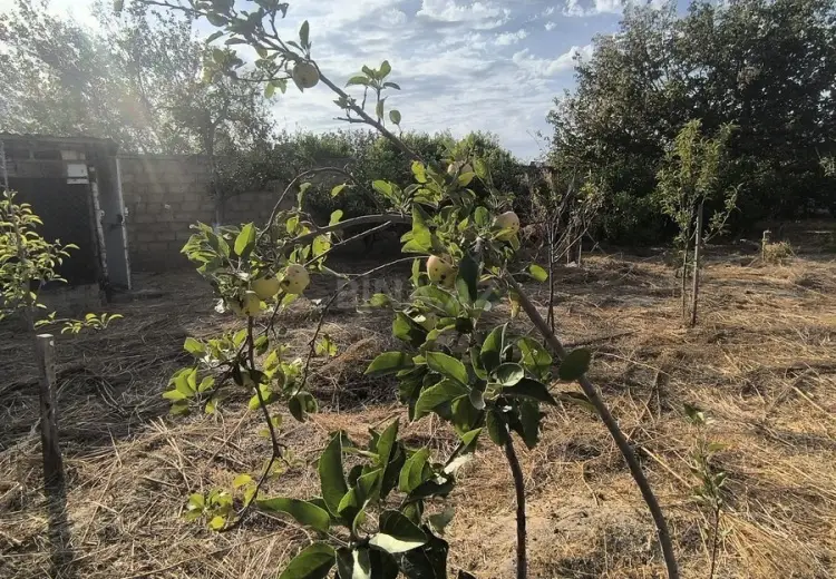 4 sot Torpaq Satılır, Novxanı, Abşeron