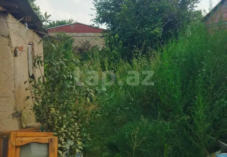 3 otaqlı mənzil , Sumqayıt
