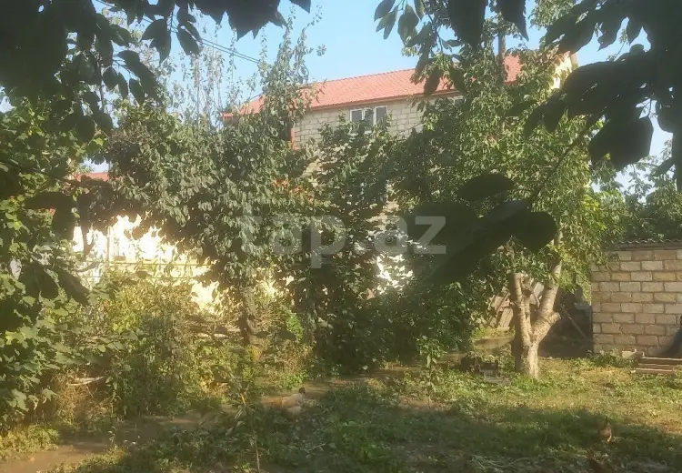 0 m² Obyekt / Ofis , Quba