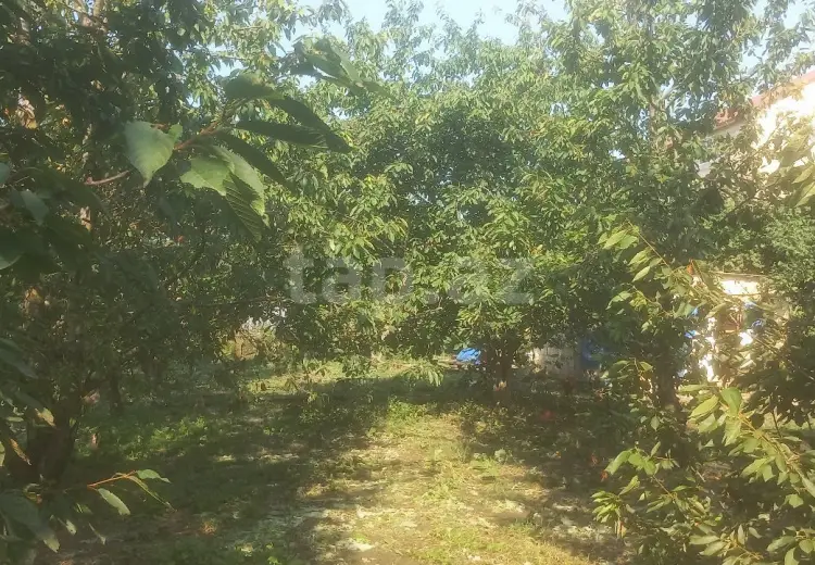 0 m² Obyekt / Ofis , Quba