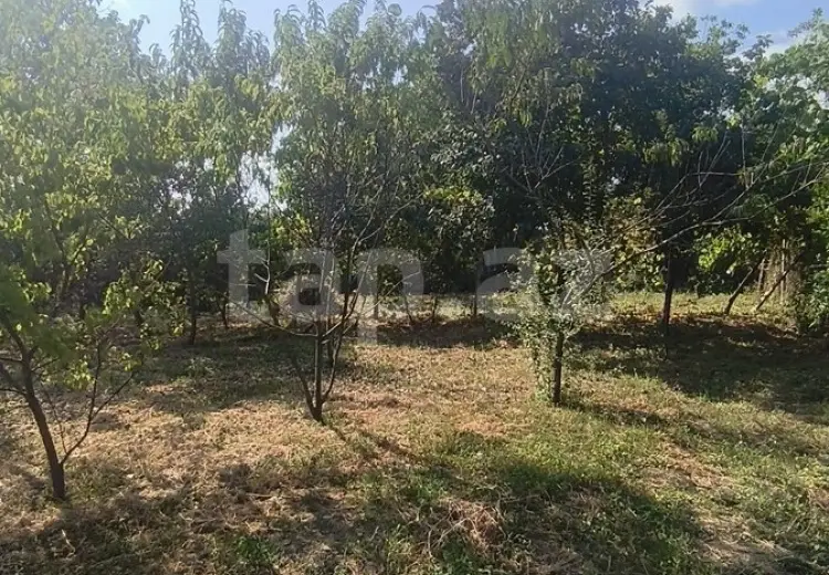 0 m² Obyekt / Ofis , İsmayıllı