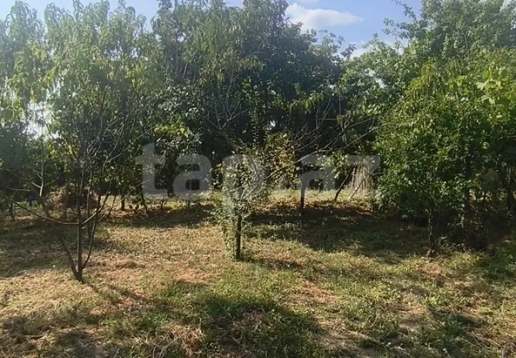 0 m² Obyekt / Ofis , İsmayıllı