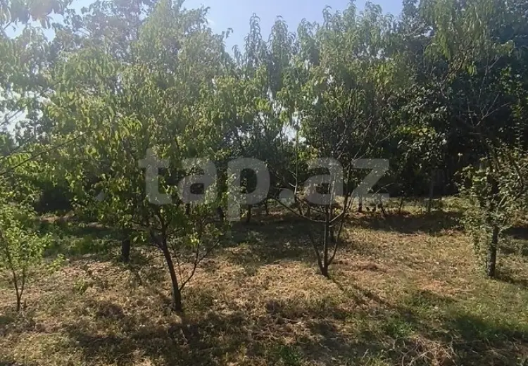0 m² Obyekt / Ofis , İsmayıllı