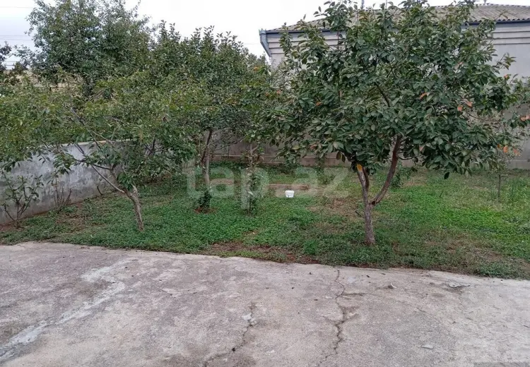 0 m² Obyekt / Ofis , Saray, Abşeron