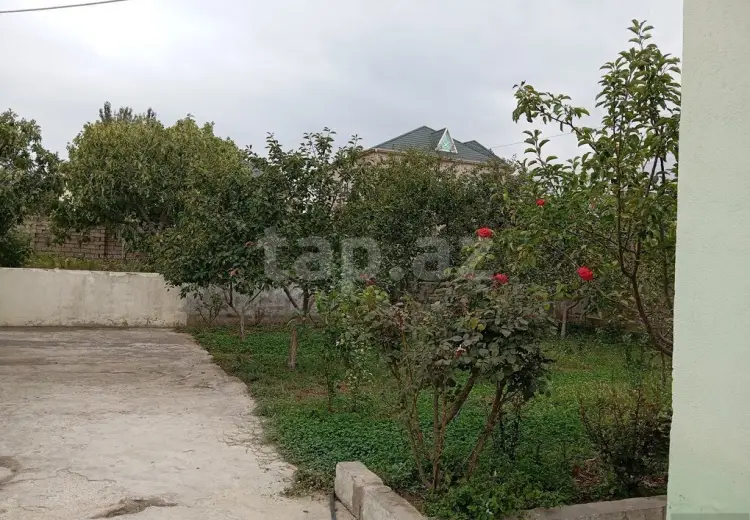 0 m² Obyekt / Ofis , Saray, Abşeron