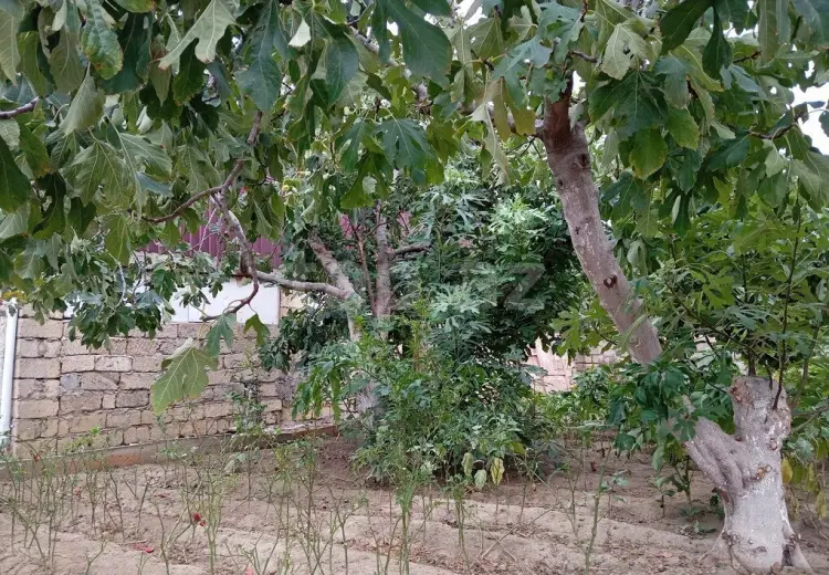 0 m² Obyekt / Ofis , Saray, Abşeron