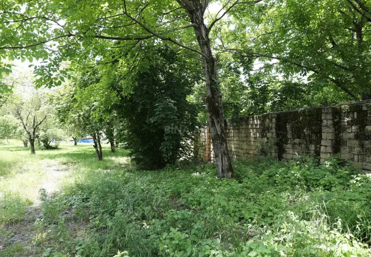 30 sot Torpaq Satılır, Qəbələ