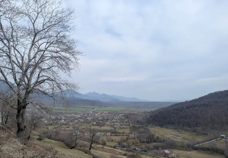 30 sot Torpaq Satılır, Qəbələ