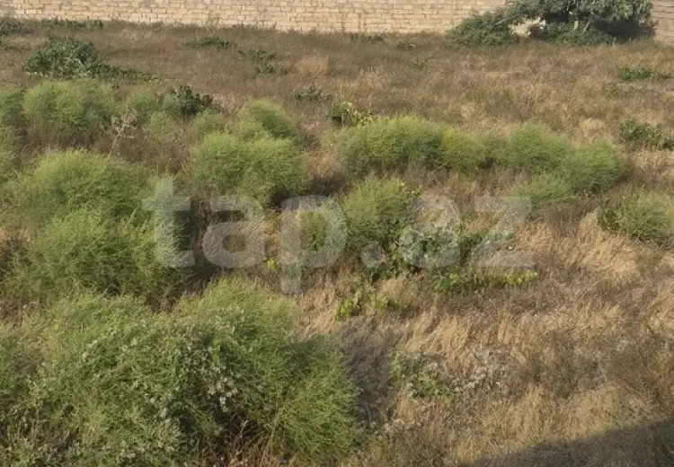 0 m² Obyekt / Ofis , Qala, Xəzər, Bakı