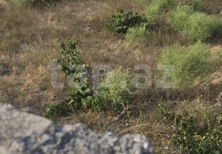 0 m² Obyekt / Ofis , Qala, Xəzər, Bakı