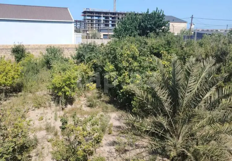 0 m² Obyekt / Ofis , Bakı