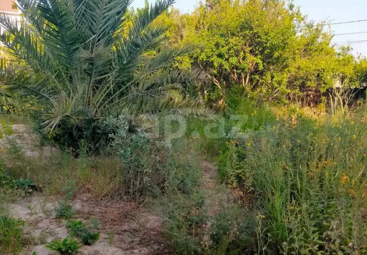 0 m² Obyekt / Ofis , Bakı