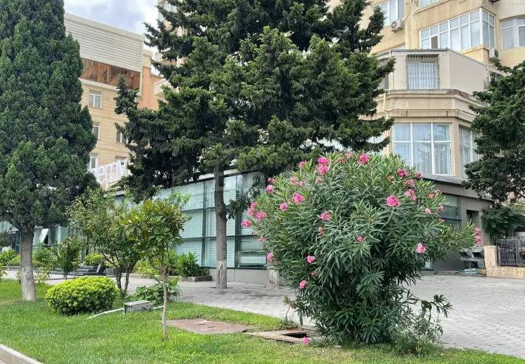 0 m² Obyekt / Ofis , Bakı