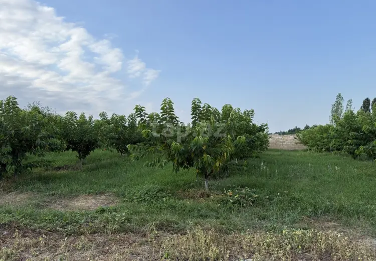 4 otaqlı mənzil , Qusar