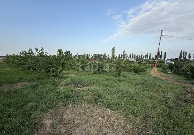 4 otaqlı mənzil , Qusar