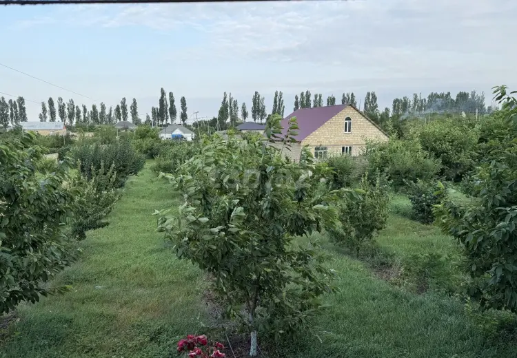 4 otaqlı mənzil , Qusar