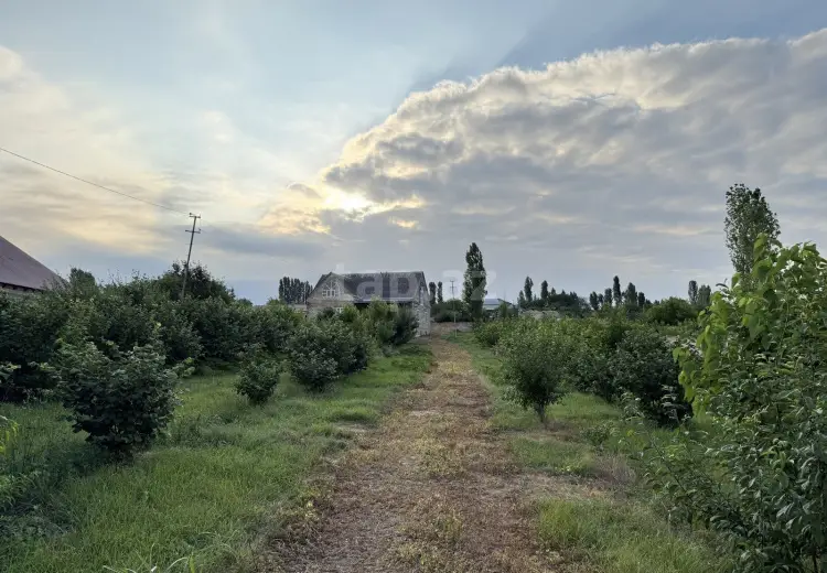 4 otaqlı mənzil , Qusar