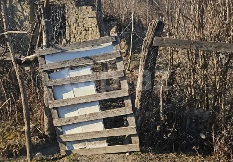 0 m² Obyekt / Ofis , Qusar