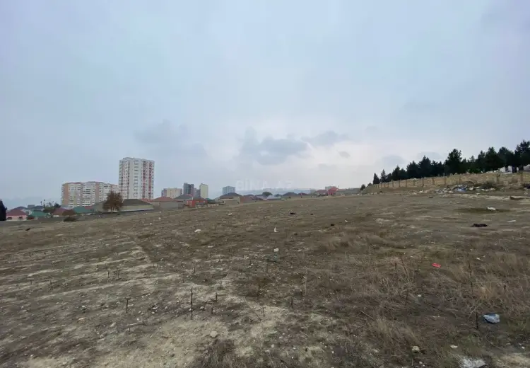 165 sot Torpaq Satılır, Abşeron