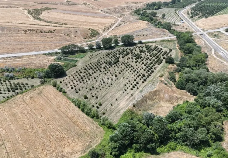 600 sot Torpaq Satılır, Qusar