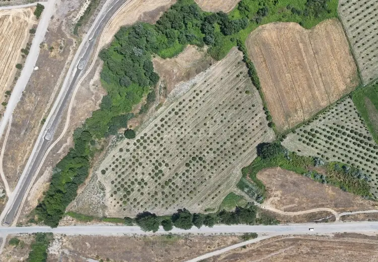 600 sot Torpaq Satılır, Qusar