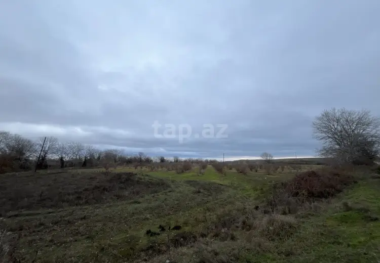 0 m² Obyekt / Ofis , Qusar