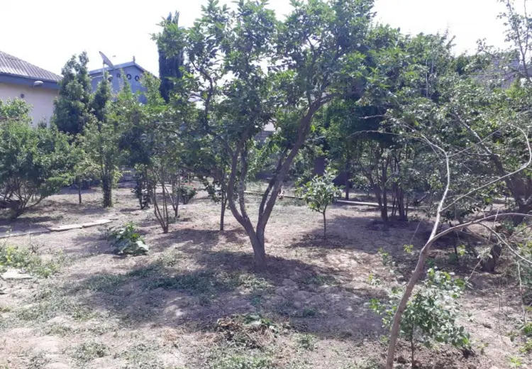 5 sot Torpaq Satılır, Bakıxanov qəs., Sabunçu, Bakı