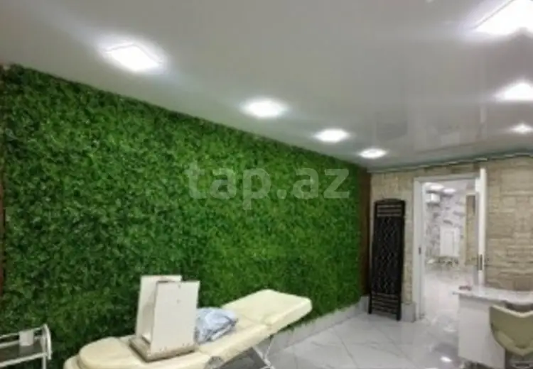 0 m² Obyekt / Ofis , Bakı