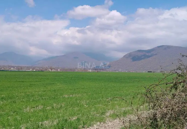 53 sot Torpaq Satılır, Qəbələ
