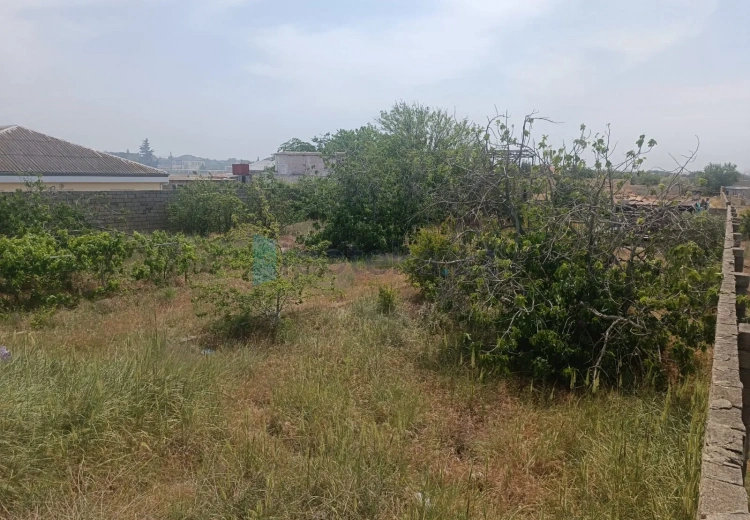 12 sot Torpaq Satılır, Nardaran qəs., Sabunçu, Bakı