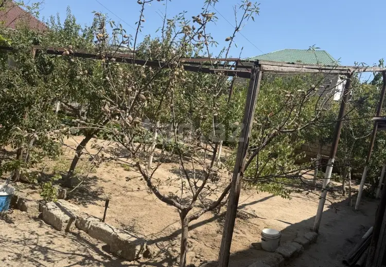 0 m² Obyekt / Ofis , Buzovna, Xəzər, Bakı