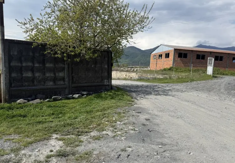 42 sot Torpaq Satılır, Zaqatala