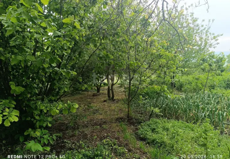 13 otaqlı mənzil , İsmayıllı