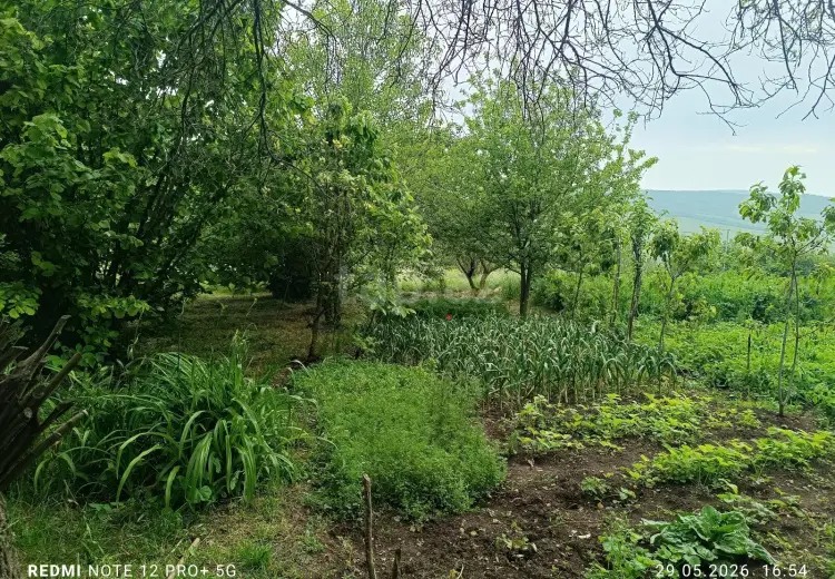 13 otaqlı mənzil , İsmayıllı