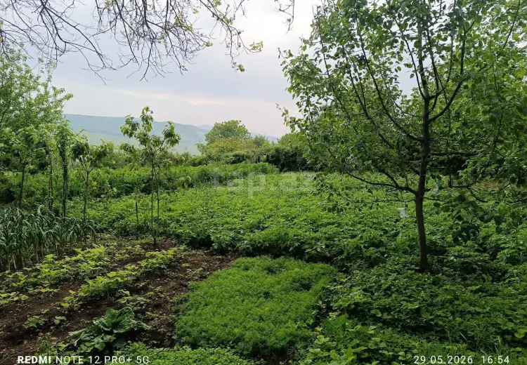 13 otaqlı mənzil , İsmayıllı