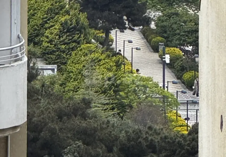 3 otaqlı mənzil , Bakı