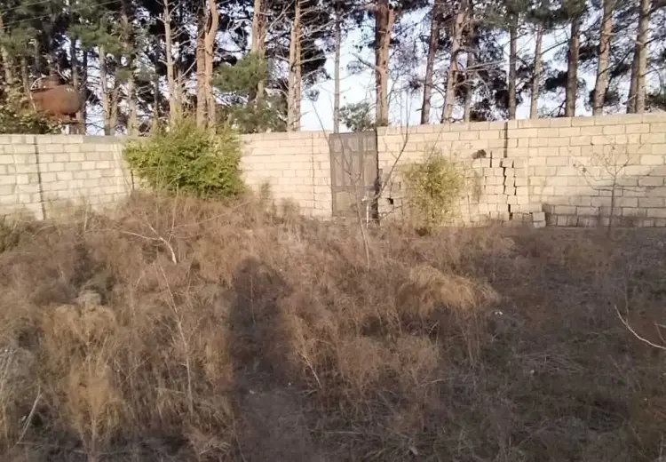 8 sot Torpaq Satılır, Goradil, Abşeron