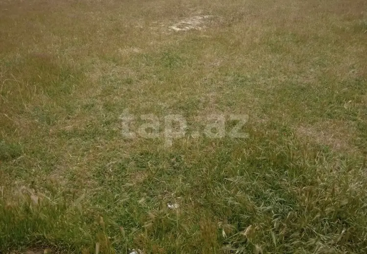 0 m² Obyekt / Ofis , Pirşağı qəs., Sabunçu, Bakı