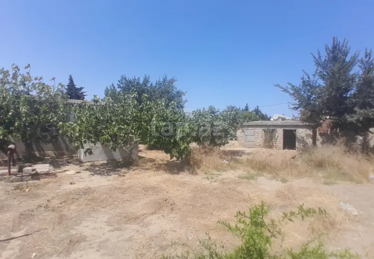 0 m² Obyekt / Ofis , Xəzər, Bakı