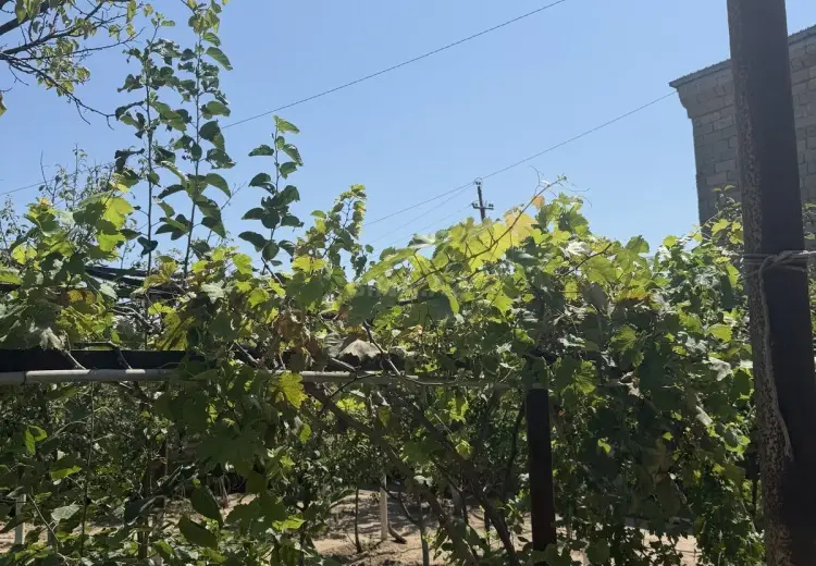 2 sot Torpaq Satılır, Buzovna, Xəzər, Bakı