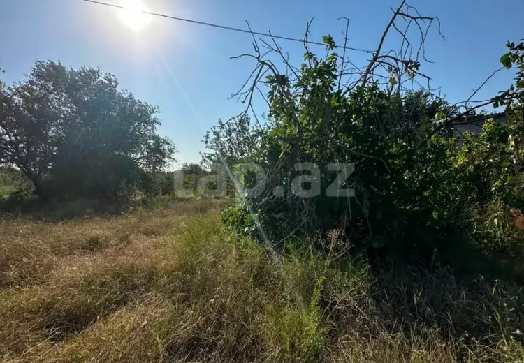 0 m² Obyekt / Ofis , Saray, Abşeron