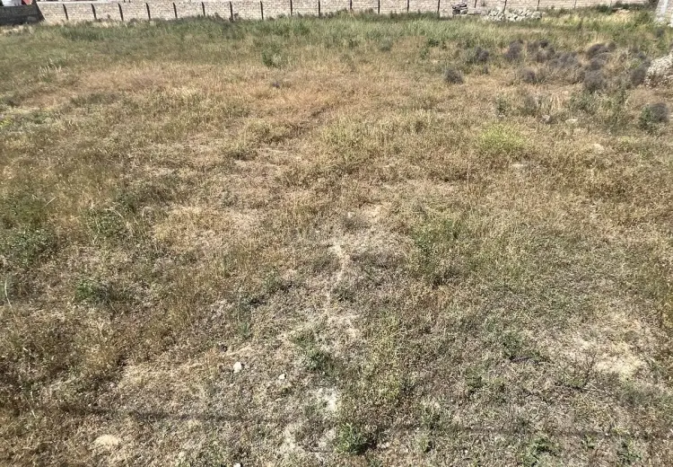 5 sot Torpaq Satılır, Dübəndi, Xəzər, Bakı