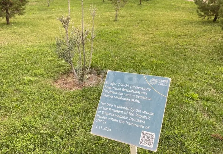 0 m² Obyekt / Ofis , Masazır, Abşeron