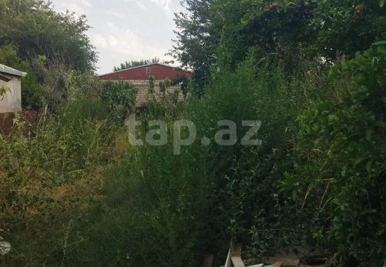 3 otaqlı mənzil , Sumqayıt